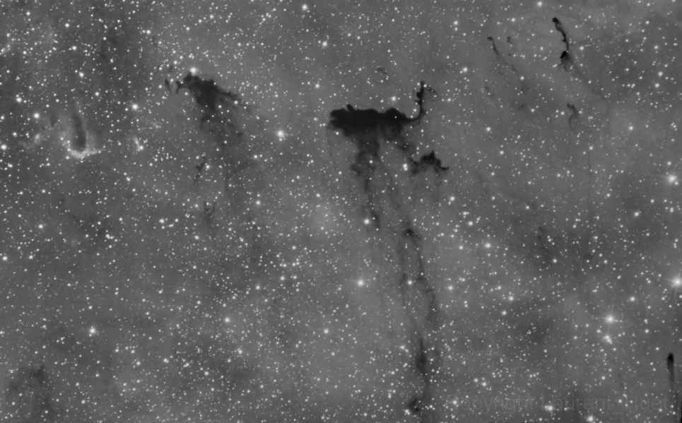 IC 1396 B163 - Nébuleuse de la trompe d